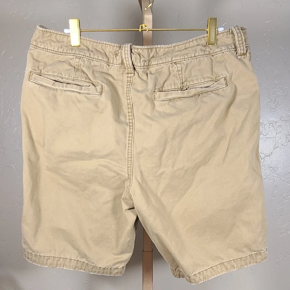 Hollister Tan Flat Front Shorts Versatile Casual Wear‎ Size 33
